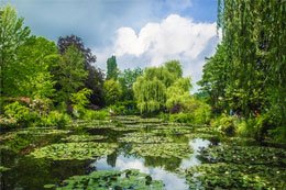 guided tours france and touristic guided tours france